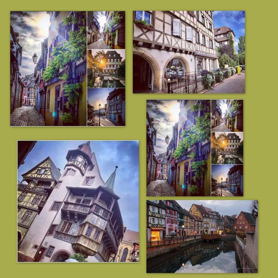 N¨°1 Schongauer Gite De Charme Centre Touristique Colmar Buitenkant foto